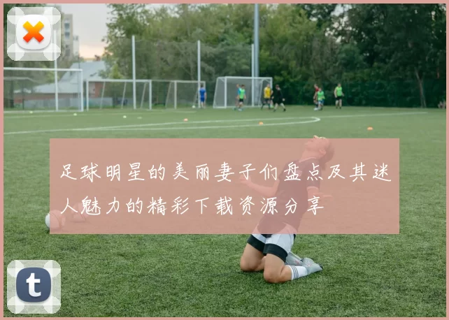 足球明星的美丽妻子们盘点及其迷人魅力的精彩下载资源分享