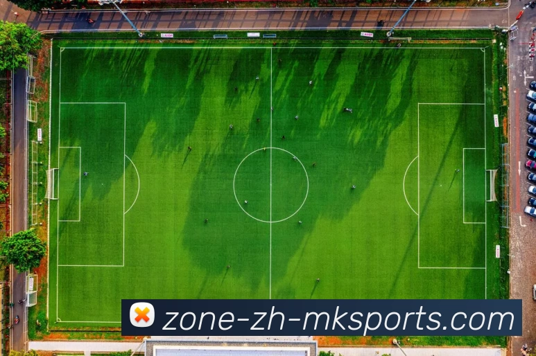 MK体育平台生态图